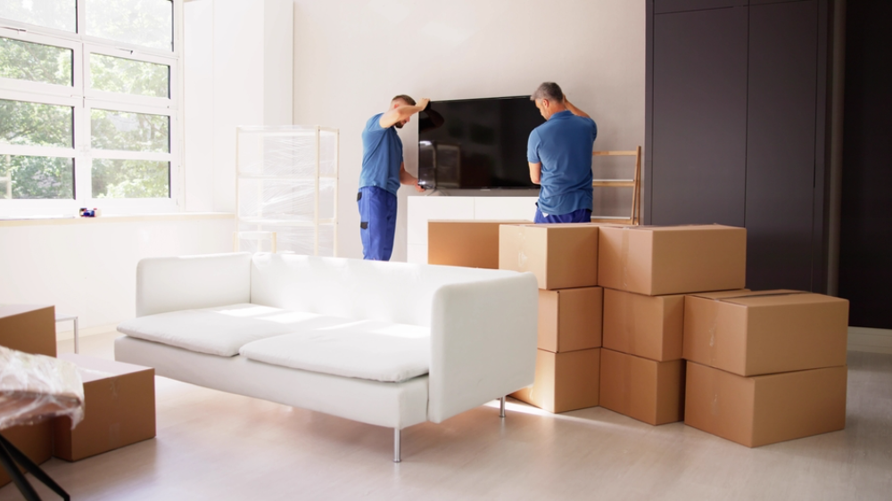 Movers and Packers in Sharjah